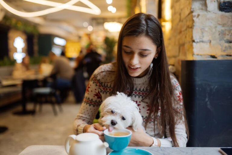 Read more about the article A legjobb kutyabarát helyek és programok Magyarországon.